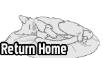 Return to Home Page